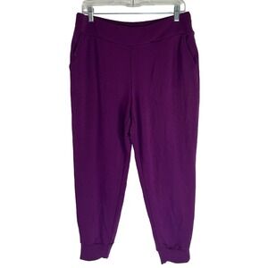 Brandis Acquitted Knit Ankle Pants Womens Size MP Plum Perfect Purple A698069